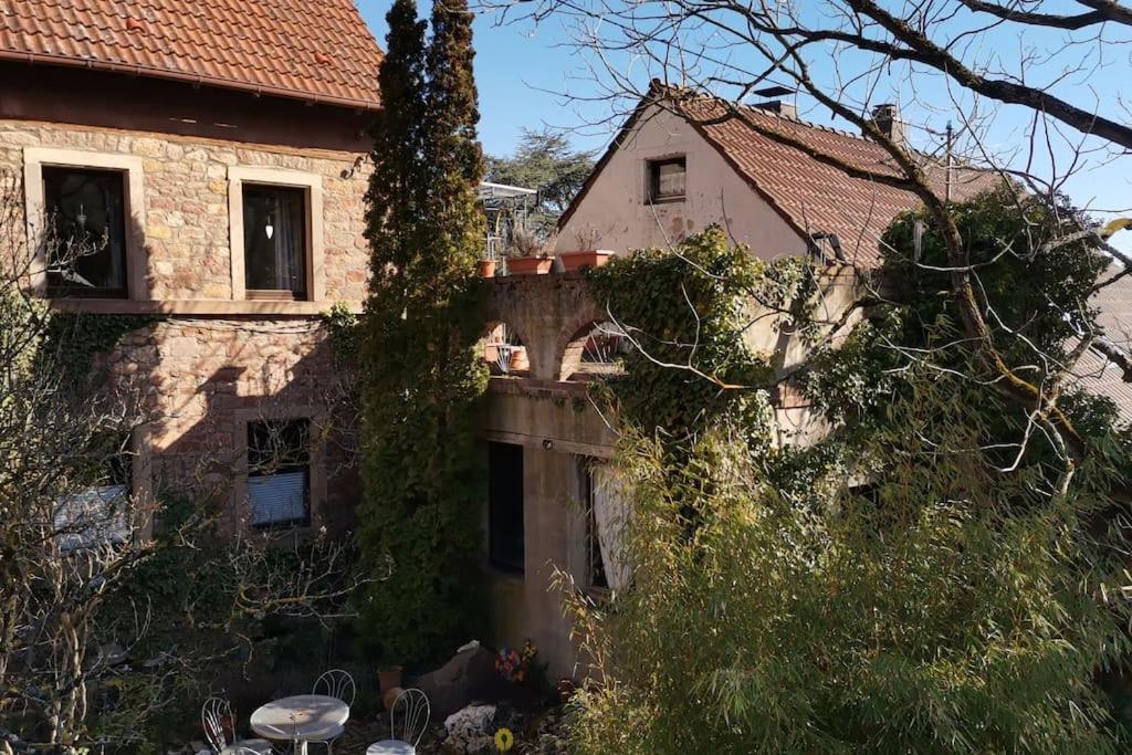 "Casita Linda "Am Donnersberg Villa Dannenfels Kültér fotó