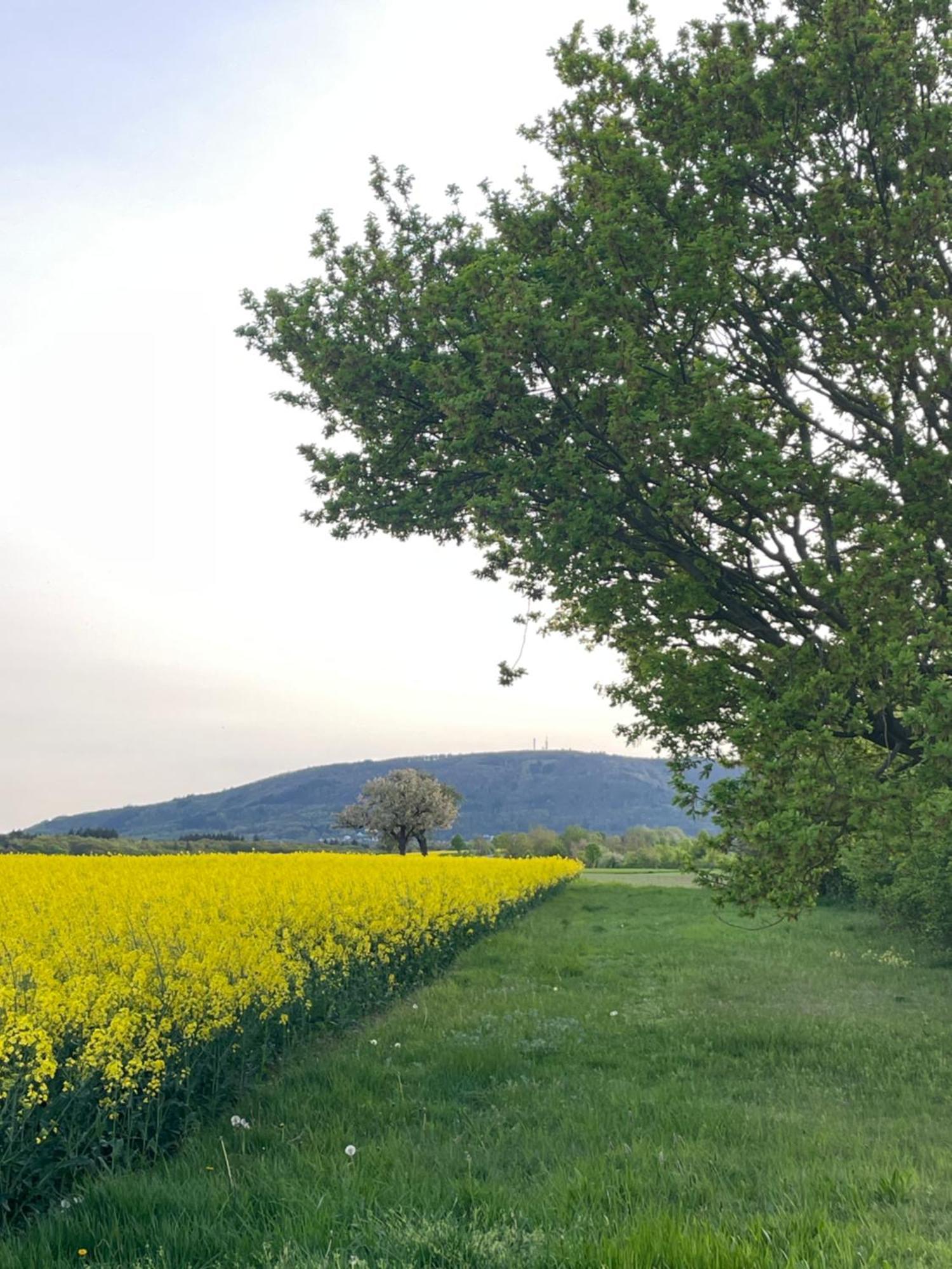 "Casita Linda "Am Donnersberg Villa Dannenfels Kültér fotó