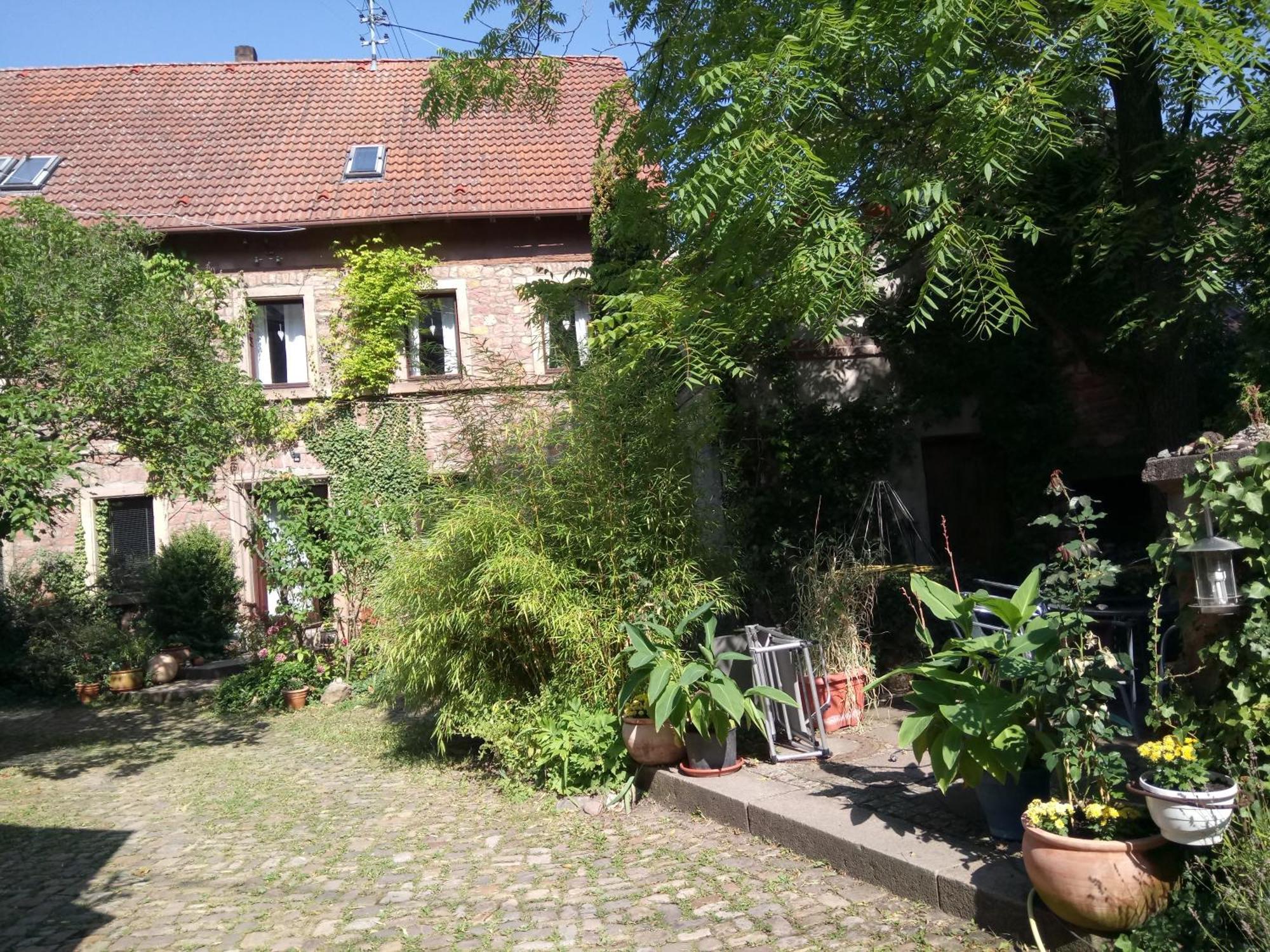 "Casita Linda "Am Donnersberg Villa Dannenfels Kültér fotó