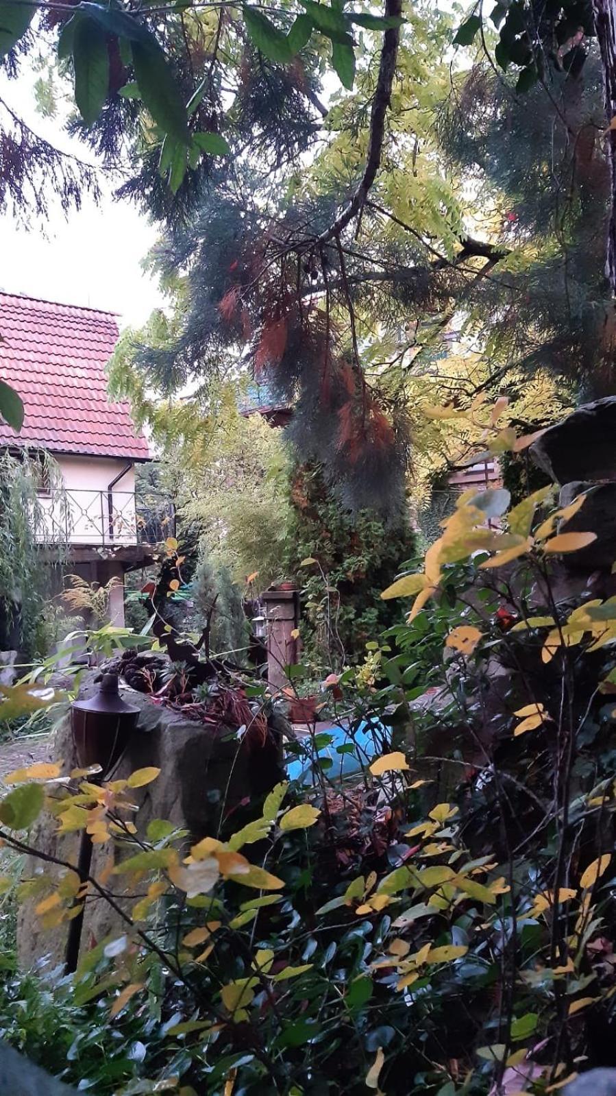 "Casita Linda "Am Donnersberg Villa Dannenfels Kültér fotó